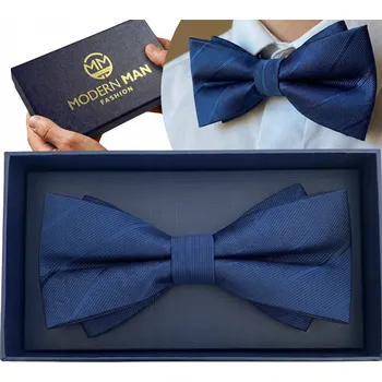 Obraz Moderní pánský motýlek, vícebarevný