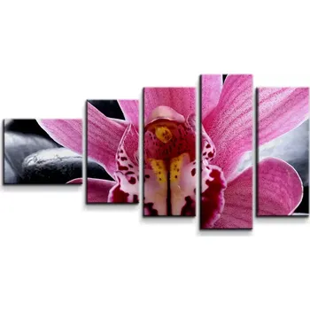 Obraz Sablio Obraz - 5-dílný Růžová orchidea - 100x60 cm