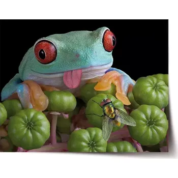 Plakát Sablio Plakát Veselá žába - 60x40 cm