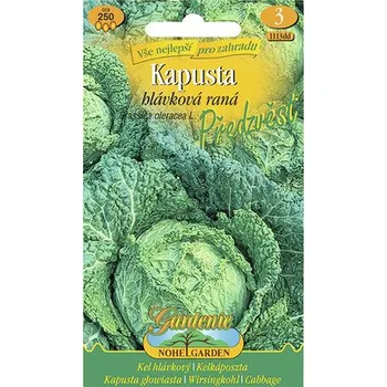 Semeno Kapusta hlávková raná PŘEDZVĚST Nohel Garden