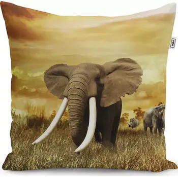 Polštář Sablio Polštář Slon Africký - 40x40 cm