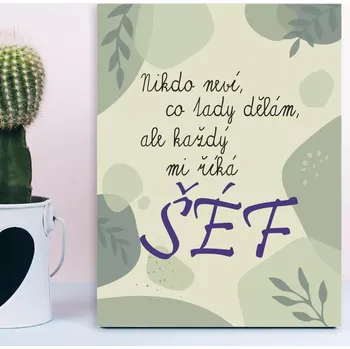 Plechová cedule Sablio Dárková cedulka Nikdo neví, co tady dělám, ale každý mi říká šéf: 30x40 cm