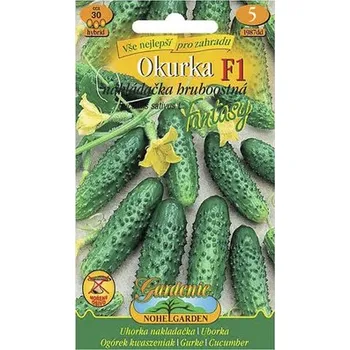 Semeno Okurka nakládačka hruboostná FANTASY F1 hybrid