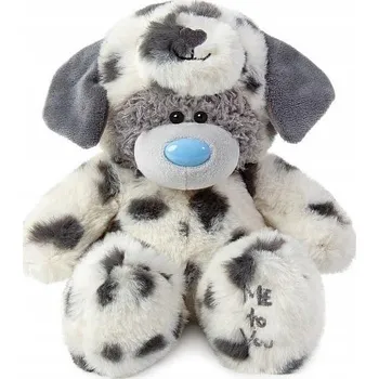 Obraz ME TO YOU - Medvídek Tatty Teddy - DALMATIN