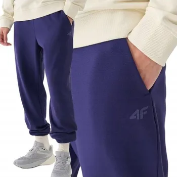 Pánské tepláky 4F 4FWMM00TTROM1139-31S-XXL