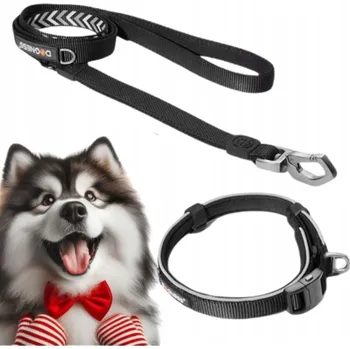 Obojek pro psa VODÍTKO pro psa REFLEXNÍ dvě rukojeti M/L sada s OBOJKEM 45-60 cm L DOGNESS