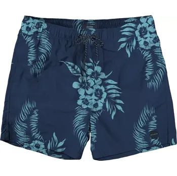 Pánské plavky Velké pánské plavky šortky na pláž s květinovým vzorem Double MTS-8010 modré (4XL)