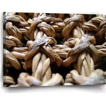 Obraz Sablio Obraz Banánové listí - 60x40 cm