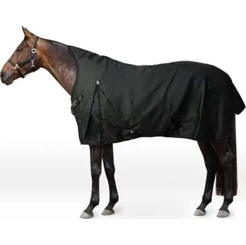 Deka pro koně Výběhová deka HORZE Helsinki 600D High Neck 100g scarab green 145cm
