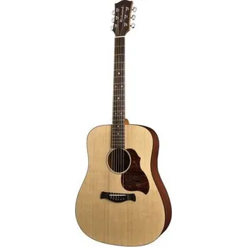 Kytara Richwood Master Series D-20, Akustická kytara dreadnought