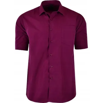 Pánská košile Pánská košile regular střih krátký rukáv bavlna velikost XL/XXL