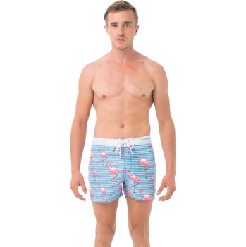 Pánské plavky Pánské plavky 69SLAM FLOCK (SSCFCK-PM) 34 SSCFCK-PM Možnost vrácení zboží ZDARMA do 120 dnů!