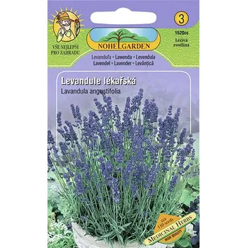 Semeno Levandule lékařská
