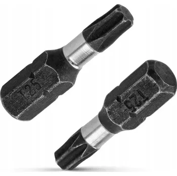 Bit PRO Bity T25x25mm 2ks (0623)