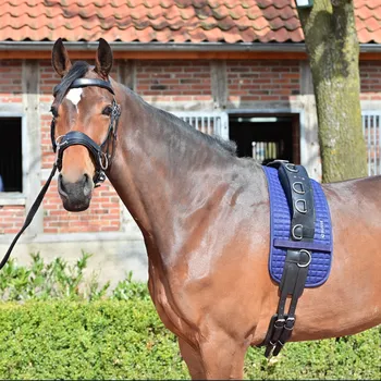 Podložka pod lonžovací obřišník BUSSE CLASSIC Modrá 110x26