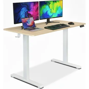 Psací stůl Obdélníkový psací stůl Becke 120 x 60 x 72 cm bílý, světlý buk