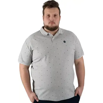 Pánské tričko Velká pánská polo tričko s krátkým rukávem vzorovaná Double Urban Outfitters PS-3036 světle šedá (6XL)