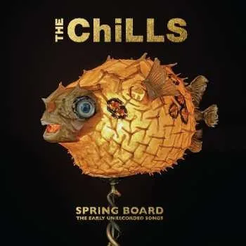 Zahraniční hudba 2LP The Chills: Spring Board (The Early Unrecorded Songs) 2025 Gold Coloured Vinyl Limited Edition