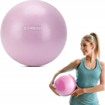 Gymnastický míč Gymnastický míč mini TREXO Univerzální TXO-B4Z011-VT 25 cm fialový