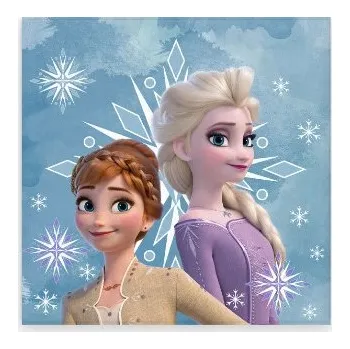 Ručník Malý ručník na ruce FROZEN Ledové království 30x30 cm