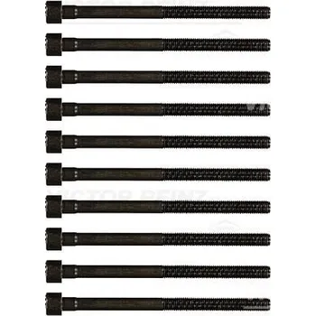 Spojovací materiál motoru Sada šroubů hlavy válce VICTOR REINZ 14-55039-01