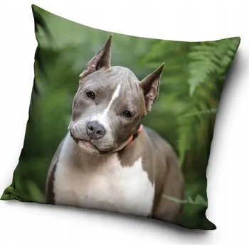 Povlak na dekorativní polštářek Povlak na polštář s motivem pitbulteriéra 40x40 cm