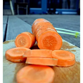 Semeno Solvita - 500