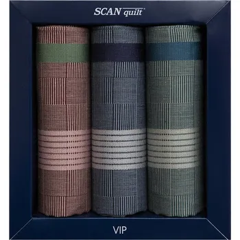 SCANquilt pánské kapesníky VIP 3 ks G109 barevná G109 pánské