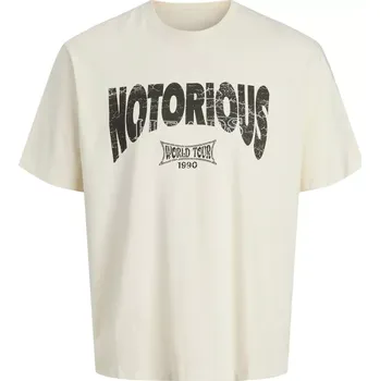 Oblečení a móda Velké pánské tričko s velkým potiskem na zádech a krátkým rukávem Jack & Jones 12288163 krémová (4XL)