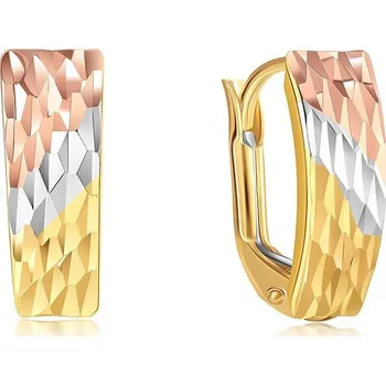 Náušnice DIANTE Zlaté náušnice 59638768 (Au 585/1000, 1,31 g)