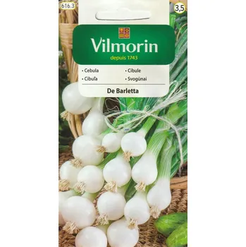 Semeno Cibule De Barletta (bílá, italská, perlová, k nakládání)