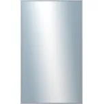 DANTIK - Zrcadlo v rámu 60x100 | Hliníkový profil 269 stříbrná drásaná