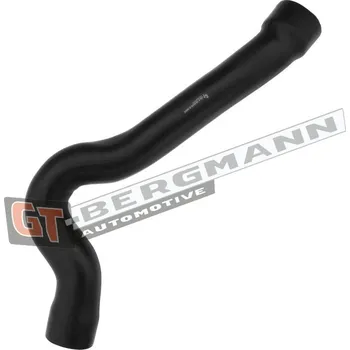 Turbodmychadlo Hadice plnícího vzduchu GT BERGMANN GT52-419