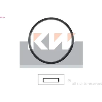 Těsnění motoru Těsnění, termostat KW 590 649