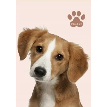 Fotoalbum Fotoalbum zasouvací lepený 10x15 na 100 fotografií PLUSH