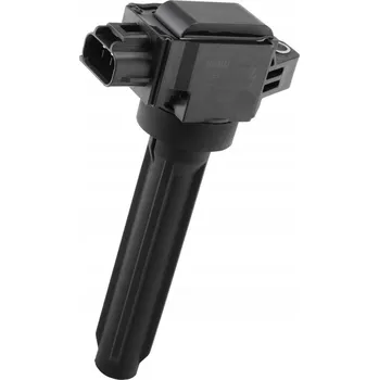 Zapalovací cívka Zapalovací cívka BorgWarner ZSE319