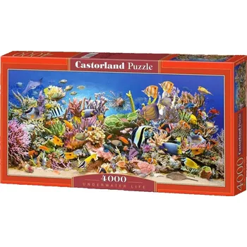 Puzzle Puzzle Castorland 4000 dílků Puzzle Underwater Life 4000