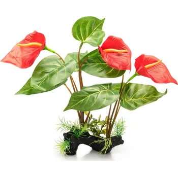 Teraristika GiganTerra Rostlina Anthurie 32 cm