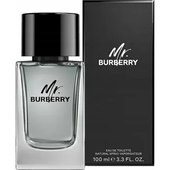 Pánský parfém Burberry Mr. Burberry EDT 100 ml Pánská toaletní voda