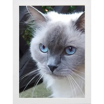 Obraz Rám 30x40 cm bílý dřevěný - Foto rámeček na fotografie, plakáty 40x30 cm