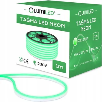 LED osvětlení LED Neonová Páska 230V 8W 120LED Zelená IP68 1m Lumiled