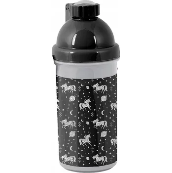 Obraz Lahev Na Pití Paso 550 ml