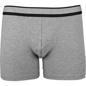Pánské spodní prádlo Pleas Pánský slip s nohavičkou šedé melé M (184187-202-050)
