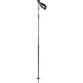 Sjezdová hůlka Lyžařské hole SALOMON Polar Pro S3 Bílé, délka 125 cm