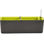Plastia Samozavlažovací truhlík Berberis 60 cm antracit/zelená