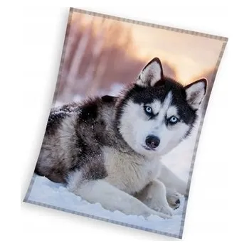 deka Dětská deka Carbotex 200 x 150 cm, vícebarevná