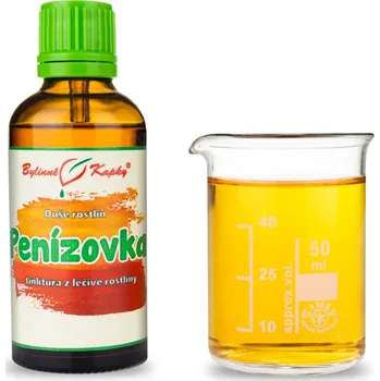 Doplněk stravy Bylinné kapky s.r.o. Penízovka tinktura 50 ml | Bylinné kapky