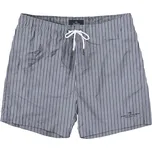 Velké pánské plavky šortky na pláž v pruhy Double MTS-8004 modro-bílé (4XL)