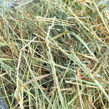 Krmivo pro hlodavce Seno aromatické 1. seč 1000g 1 kg