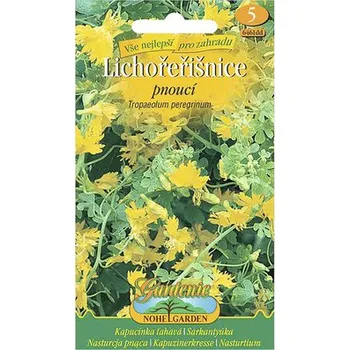 Semeno Lichořeřišnice pnoucí žlutá